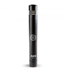 AKG P170 High-Performance Instrument Condenser Microphone 